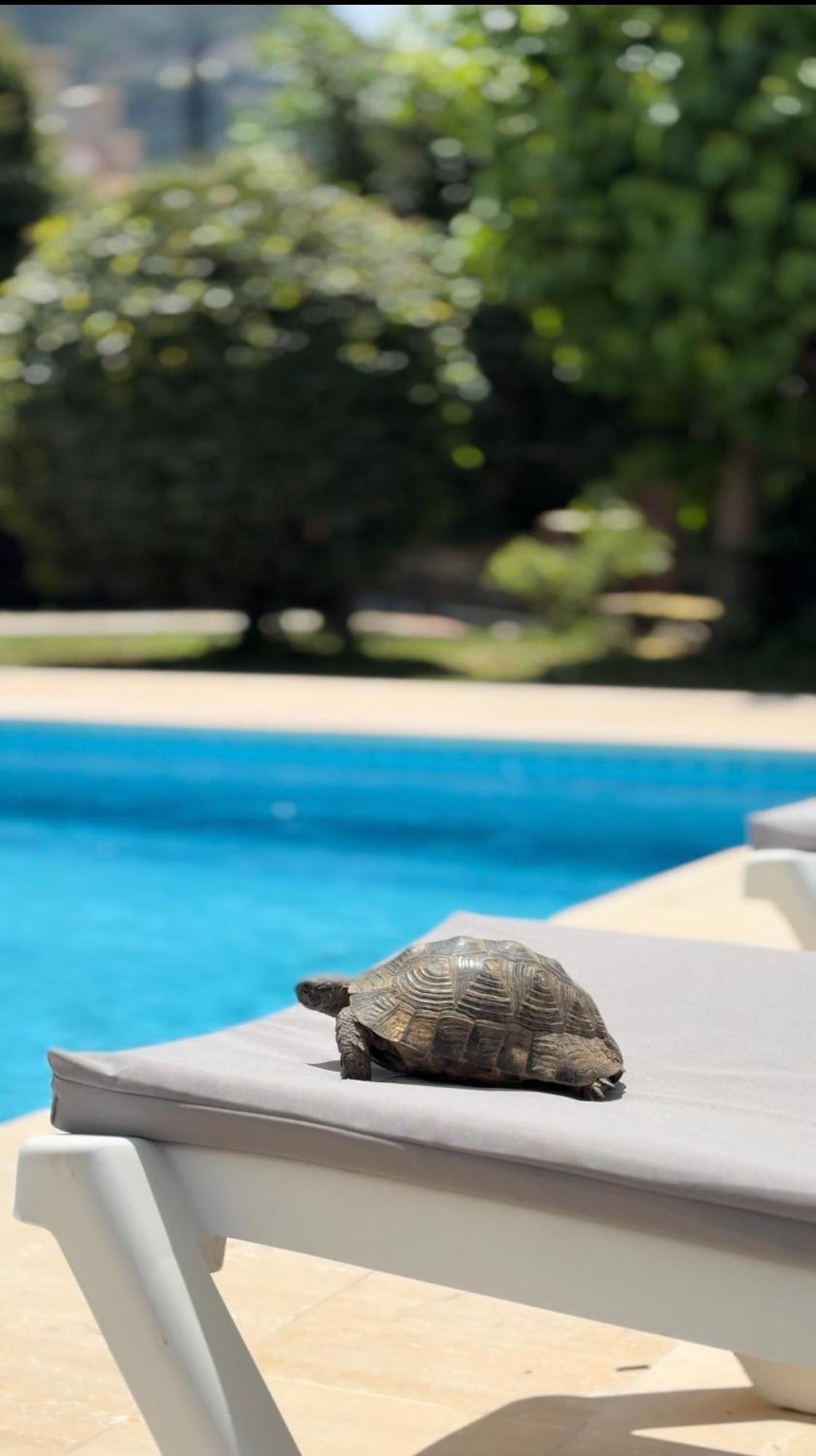Villa Xanthos 301 올루데니스 외부 사진